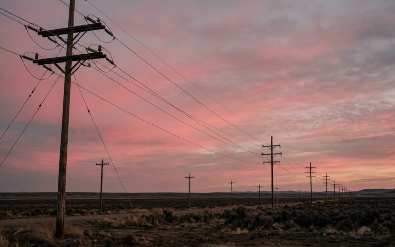The Legal Cannabis Industry Calls Itself a Movement. These Men Are Still Waiting for It to Act Like One.