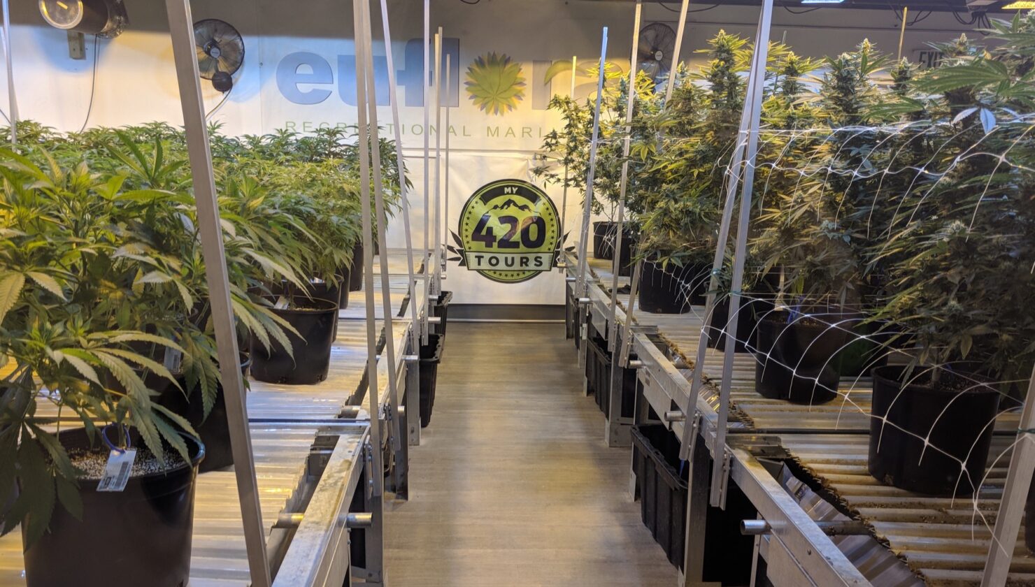 Colorado Just Signed a Law Letting Medical Patients Use Cannabis in Health Facilities. It Took 13 Years.