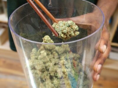 Cannabis Tours / Wikimedia Commons