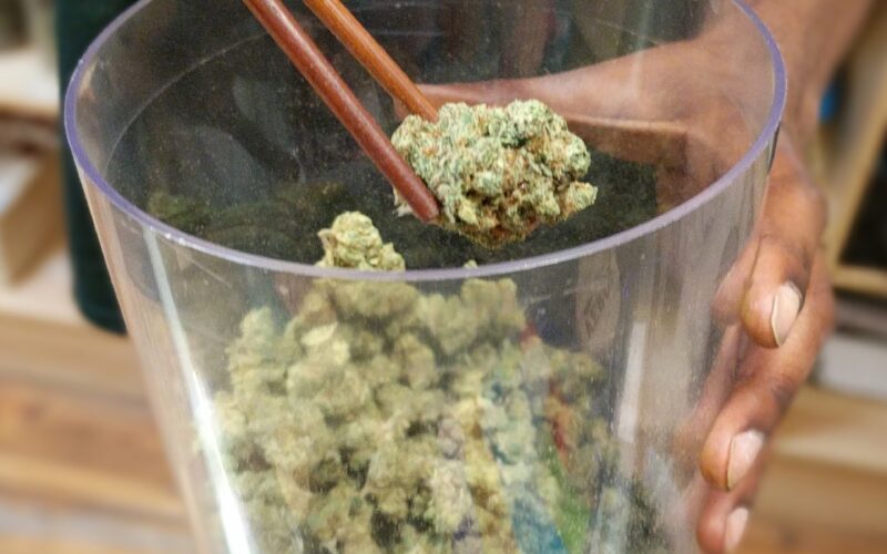 Cannabis Tours / Wikimedia Commons
